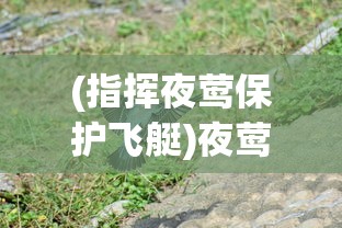 (旧日传说官方)旧日传说21年完美版，深度解析与游戏指南