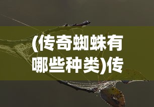 (战争怒吼什么时候上线)战争怒吼为何逐渐失去热度？探究其背后的原因
