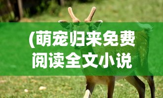 (代号致金庸)代号，Z——多元领域中的神秘符号与探索之旅