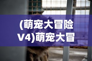 (烈焰无双h5游戏官网)烈焰无双H5游戏，深度探索与常见问题解答