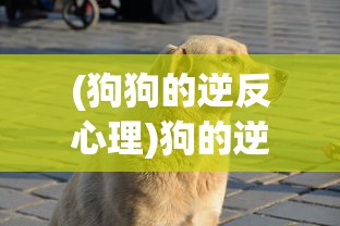 (自动挂机搬砖软件免费)自动挂机搬砖软件，解放双手，还是潜在风险？