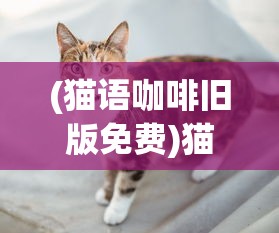 (红警ol手游好玩吗贴吧)红警OL手游好玩吗？深度解析与玩家问答