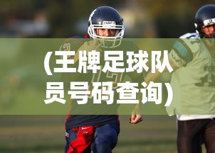 (王者荣耀一刀流是什么意思)王者一刀，揭秘背后的游戏公司