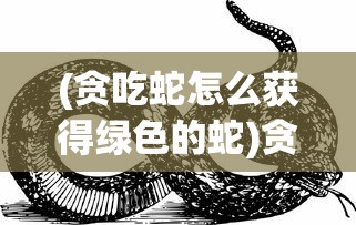 中学课本中的斯图雅，深度解析与常见问题解答