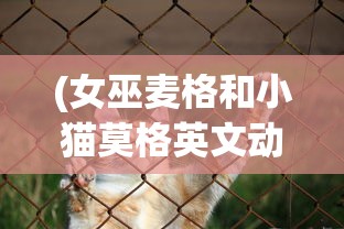 (啪嗒砰 风之奇迹)啪嗒砰风之奇迹获取攻略及常见问题解答