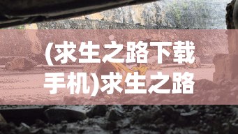 (飞天手游科技僵尸开炮小程序秒杀挂辅助器)飞天手游科技，探索前沿科技与手游融合的魅力