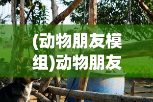 (赏金勇者传世绿色版兑换码)赏金勇者传世，游戏魅力与影响深度解析