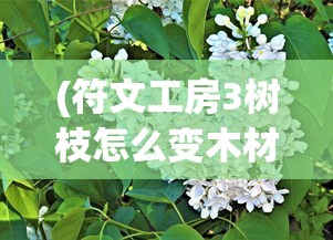 (英雄群侠传攻略)群侠传游戏攻略大全及常见问题解答