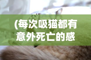 (黑光生存进化手游官方网站)黑光生存进化手游，生存与挑战的进化之旅