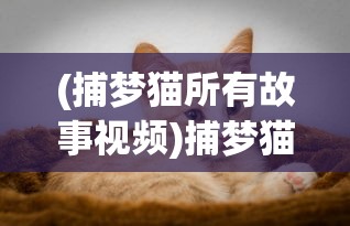 (指点游戏官网)指点三国为何无法运行，解析游戏故障背后的原因