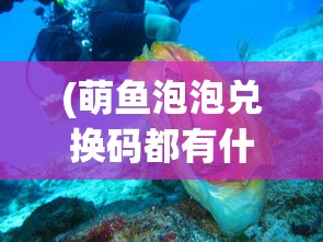 (武娘外传阵容攻略)武娘外传0.1折，深度探索与常见问题解答