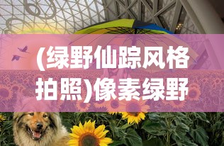 (别动我装备破解版)别动我装备内置作弊菜单，游戏世界的警示与反思