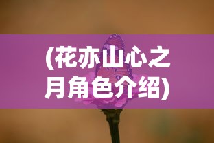 (闪耀战记补给箱在哪里打开)闪耀战记补给箱位置详解及常见问答（FAQ）