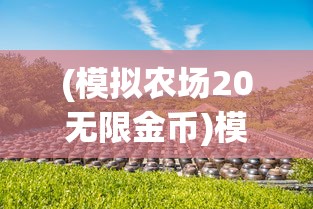 (龙之国度)龙之国物语，探寻最强职业之路