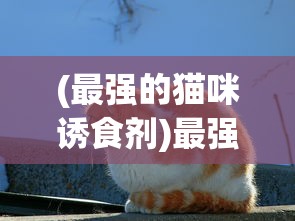 (你为什么这么厉害呀什么都知道)揭秘厉害修改器，探寻其背后的秘密与魅力