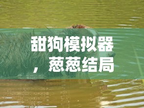 (重生贵女攻略最新章节小说)重生贵女攻略，最新章节与多维度解析
