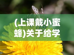 (黎明阵容怎么玩)黎明精英攻略，全方位解析游戏策略与常见问题解答