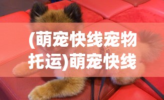 (代号某某某ios)代号XXX连招，深度解析与实战应用指南