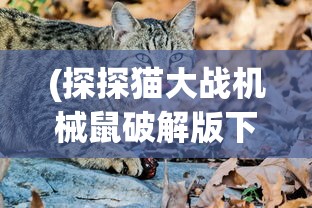 (三国群英传霸王之业返利号)三国群英传霸王之业折扣平台深度解析及常见问题解答