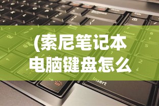 (索尼笔记本电脑键盘怎么拆视频)索尼电脑笔记本键盘配件全面解析与常见问题解答