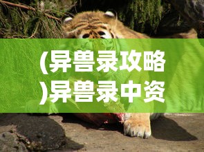 (异兽录攻略)异兽录中资质最厉害的神秘异兽揭秘