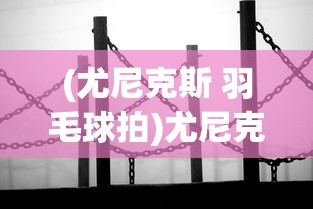 (尤尼克斯 羽毛球拍)尤尼克斯羽毛球拍攻守兼备，技术与特性的深度解析