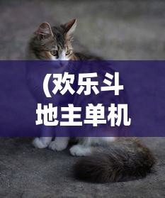 (欢乐斗地主单机版下载安装2016)欢乐斗地主单机版游戏，经典与创新的完美结合