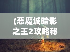 (恶魔城暗影之王2攻略秘籍怎么用)恶魔城暗影之王2全面攻略秘籍及常见问题解答