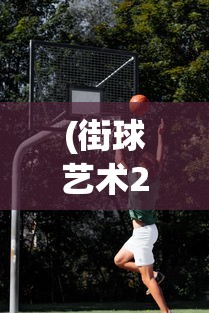 (街球艺术2.0兑换码)街球艺术2.0，新一代篮球游戏艺术的探索与挑战