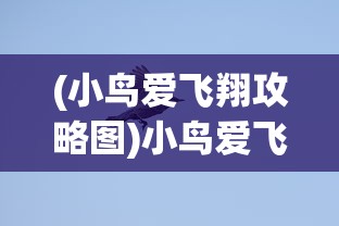 (小鸟爱飞翔攻略图)小鸟爱飞翔攻略，掌握飞翔的技巧与乐趣