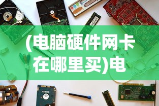 (电脑硬件网卡在哪里买)电脑硬件中网卡的位置及其重要性
