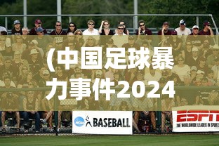 (中国足球暴力事件2024年10月)中国足球暴力事件，深度分析与反思