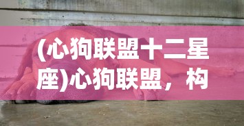 (心狗联盟十二星座)心狗联盟，构建人与犬和谐共生的桥梁