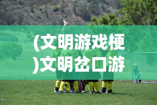 (文明游戏梗)文明岔口游戏，探索未知的文明交汇之旅
