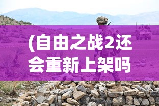 (自由之战2还会重新上架吗)关于游戏自由之战2下架的探讨