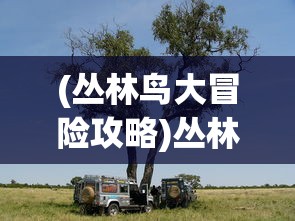 (丛林鸟大冒险攻略)丛林鸟大冒险最佳阵容推荐攻略