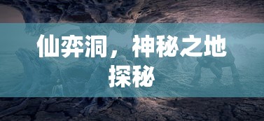 仙弈洞，神秘之地探秘