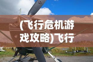 (飞行危机游戏攻略)飞行危机游戏，挑战与冒险的空中之旅