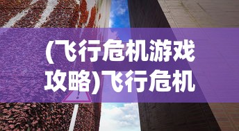 (飞行危机游戏攻略)飞行危机游戏，挑战与冒险的空中之旅