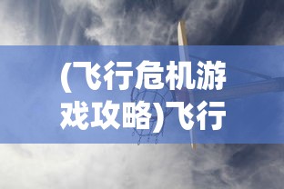 (飞行危机游戏攻略)飞行危机游戏，挑战与冒险的空中之旅