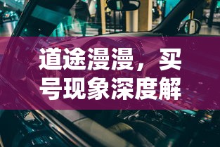 道途漫漫，买号现象深度解析