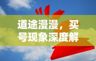 道途漫漫，买号现象深度解析