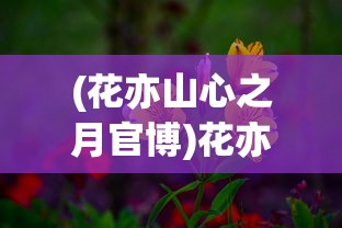 (花亦山心之月官博)花亦山心之月，背后的公司揭秘