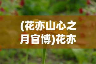 (花亦山心之月官博)花亦山心之月，背后的公司揭秘