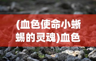 (血色使命小蜥蜴的灵魂)血色使命攻略，小蜥蜴的位置揭秘