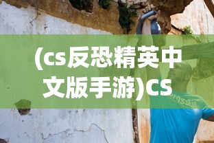 (cs反恐精英中文版手游)CS反恐精英中文版，游戏介绍与常见问题解答