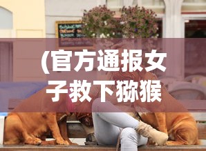 (官方通报女子救下猕猴养半年今天三B号码)官方通报，女子救下猕猴养半年，人与猴和谐共处背后的故事