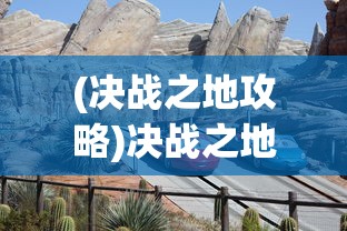 (决战之地攻略)决战之地内部号，揭秘与探索