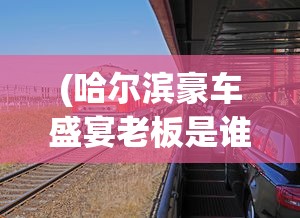 (哈尔滨豪车盛宴老板是谁)哈尔滨豪车盛宴背后的老板，一位成功商人的故事