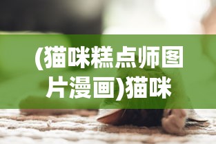 (猫咪糕点师图片漫画)猫咪糕点，萌宠与美食的完美结合
